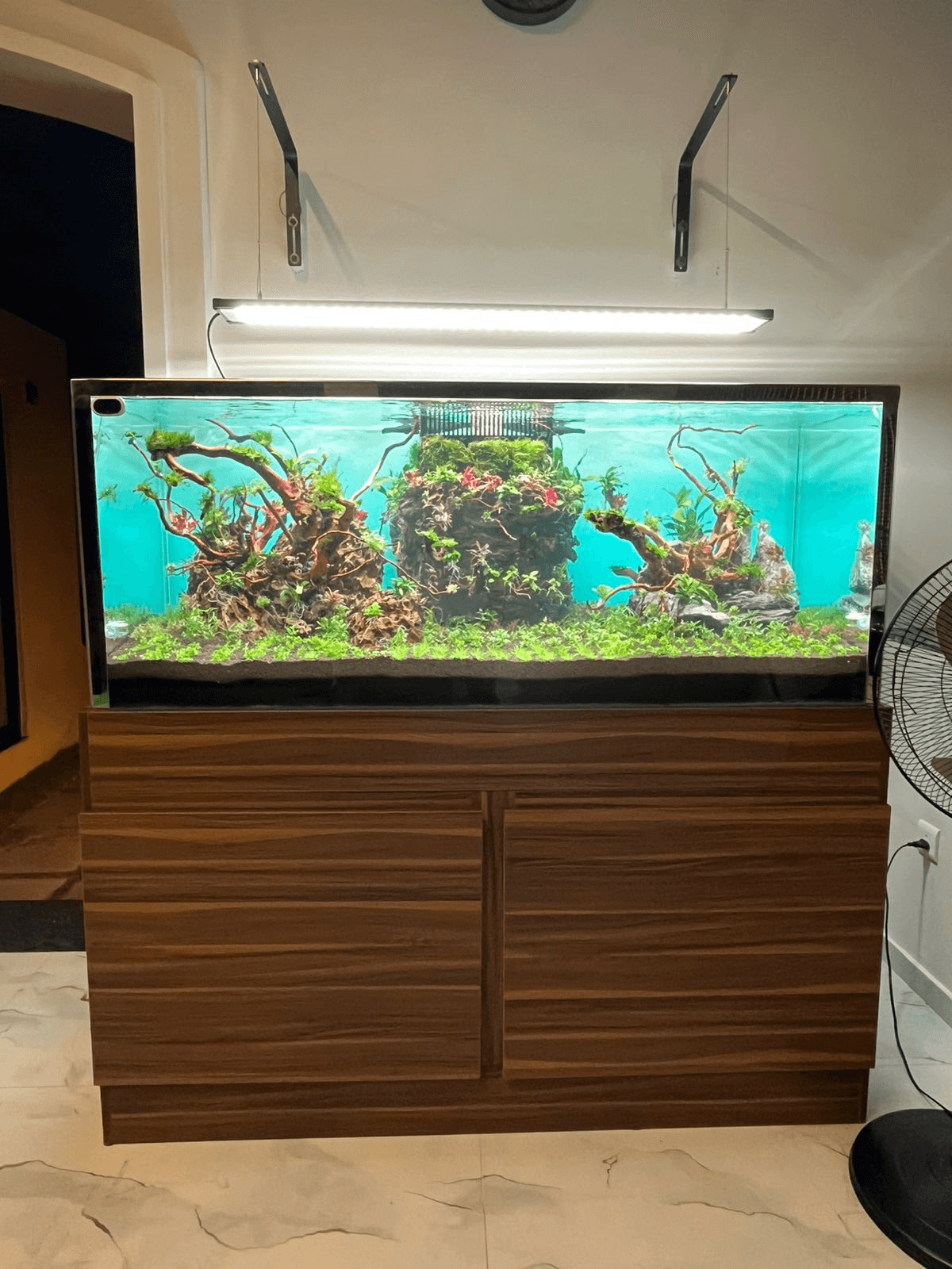 Aquarium lounge at MHOMES Resort, Madurai